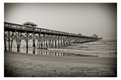 2010-charleston-03