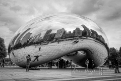 2011Chicago-08