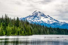 2019PacificNorthwest-24