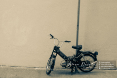 SanFran-12