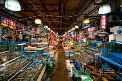 2012SouthKorea-02